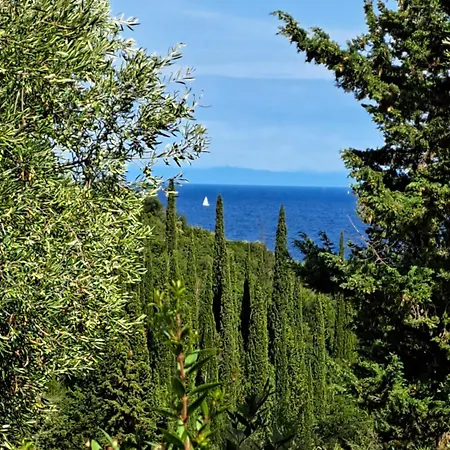 Buras * Skinária