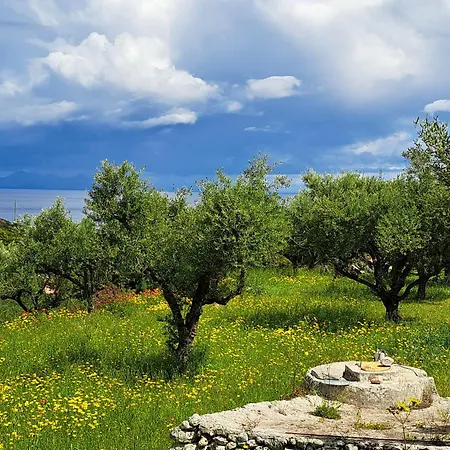 Buras Willa Skinária