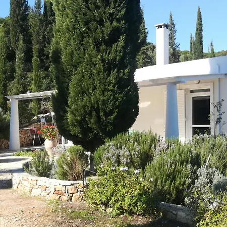 Buras Villa